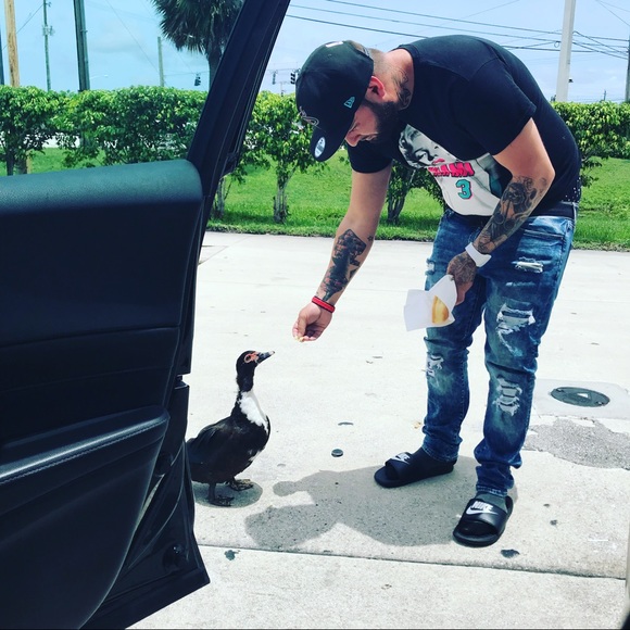 Meet your Posher, Banx - Picture 10 of 17